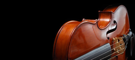 music concept. violins on a black background. violin body front and back. copy spaceの写真素材