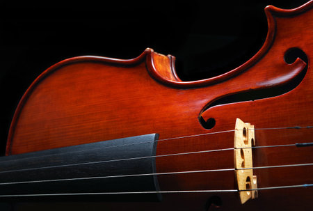 music concept. violins on a black background. violin body front and back. copy spaceの写真素材