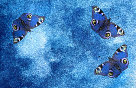 blue watercolor background. beautiful blue butterfly on the background of blue abstract watercolor...