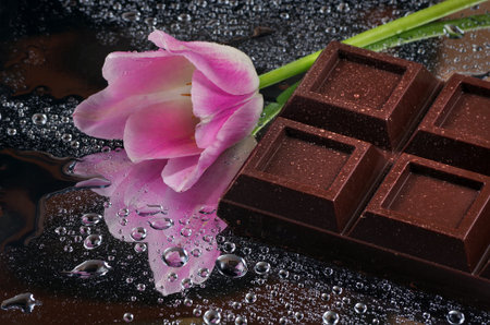 dark chocolate bar and pink tulip.