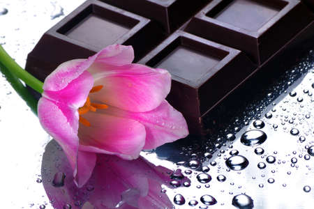 dark chocolate bar and pink tulip.の写真素材