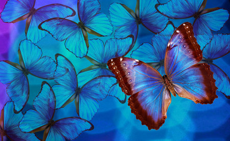 bright blue tropical morpho butterflies on the background of colorful opal stone