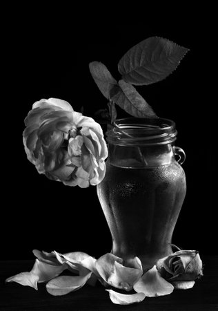 falling rose in a glass vase on the tableの写真素材