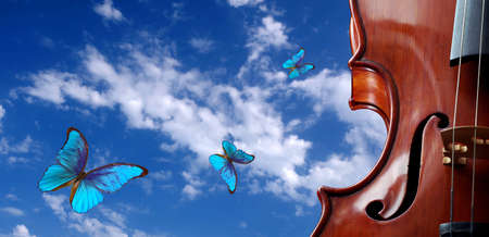 music concept. violin, butterflies and sky. bright blue morpho butterflies flying in the blue sky with clouds and violin. melody concept.の写真素材