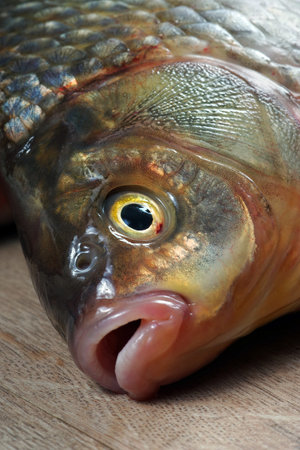 Fresh fish on the kitchen table. fish crucian carp on the table close-up