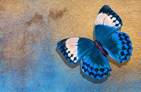 watercolor paper painted in blue and gold paint. bright morpho butterfly on a blue and gold...