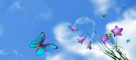 blue sky with clouds, flowers and blue morpho butterflies. heart shaped cloud in clear blue sky.の写真素材