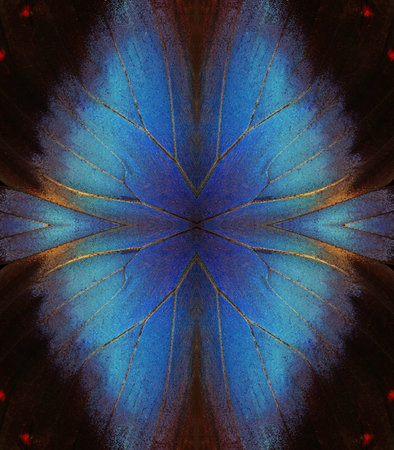 abstract symmetrical pattern. abstract pattern from morpho butterfly wings. blue tropical butterfly...