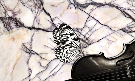 violin and butterfly on the marble background, closeup of photo