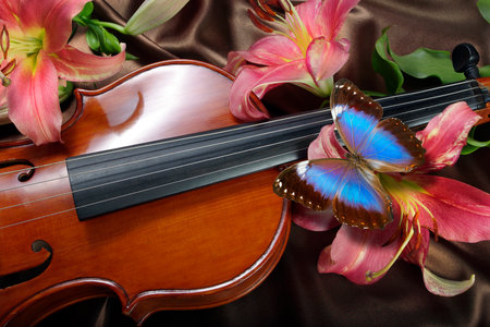 violin and butterfly on a brown satin background with liliesの写真素材