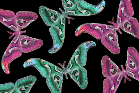 Collection of colorful butterflies isolated on black background. 3D illustration.の写真素材