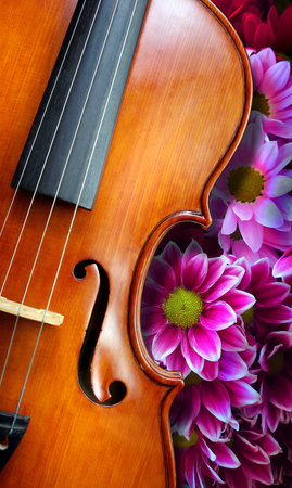 violin and flowers, closeup of a violin and flowers on a backgroundの写真素材