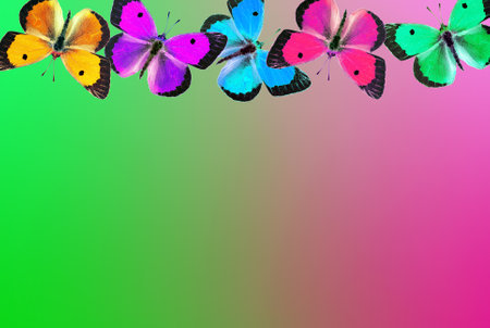 Colorful butterflies on a bright background. Copy space for text.の写真素材