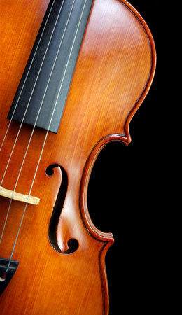 violin on black background, close-up, musical instrument.
