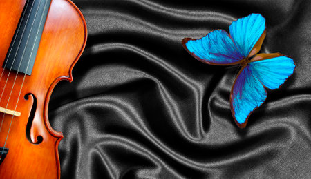violin and butterfly on black satin background with space for textの写真素材