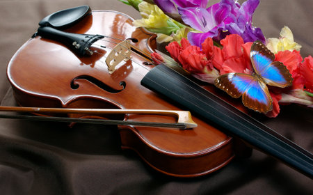 violin and butterfly on a background of flowers, close-upの写真素材