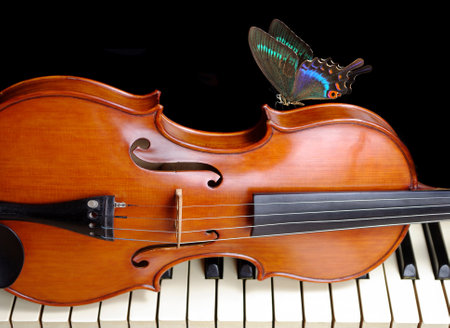 violin and butterfly on the keyboard of the piano, close-upの写真素材