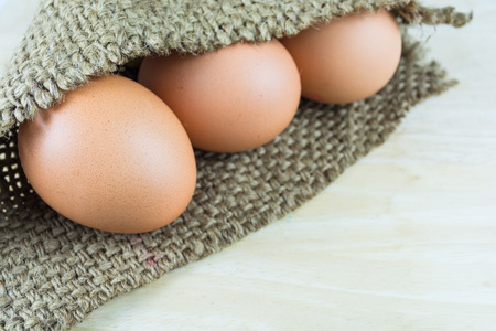 eggs.の写真素材