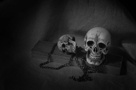 Human skull on dark background ; still-lifeの写真素材