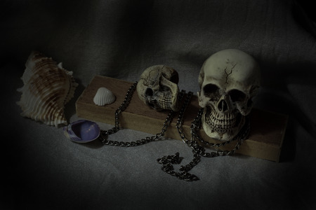 Human skull on dark background ; still-lifeの写真素材