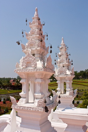 Flora Chiang Maiの写真素材