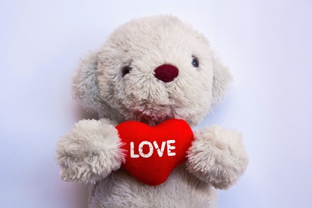 Teddy bearの写真素材