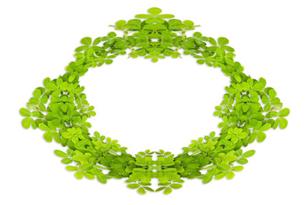Frame leaves