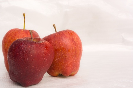 Apple on a white background.の写真素材