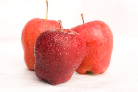 Apple on a white background.の写真素材