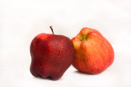 Apple characteristics.の写真素材