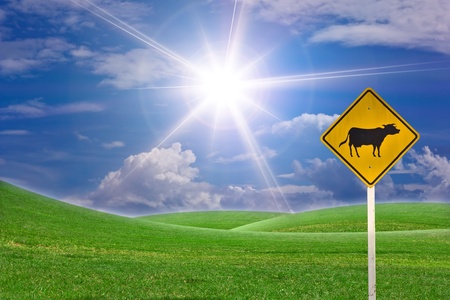 Warning signs of animals.の写真素材