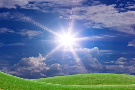 Sun and grass.の写真素材