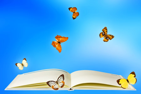 Butterfly Book.の写真素材