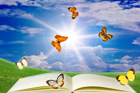 Butterfly Book.の写真素材