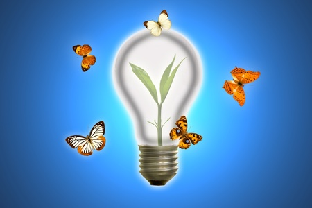 Butterfly lamp.の写真素材