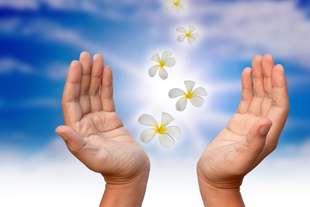 Hand and flowers.の写真素材