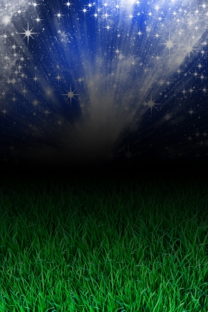 Grassの写真素材