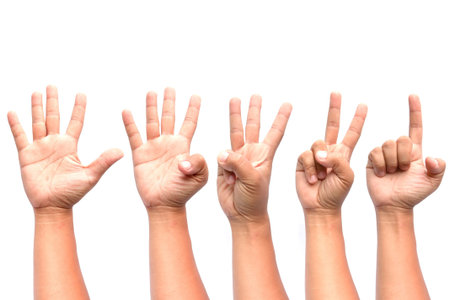 1 2 3 4 5 hands isolated on white background.の写真素材