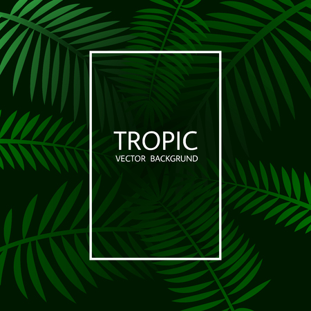 Design with exotic tropical palm leaves and lettering. Vector tropical background.のイラスト素材