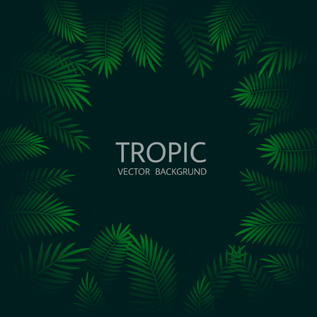 Design with exotic tropical palm leaves and lettering. Vector tropical background.のイラスト素材