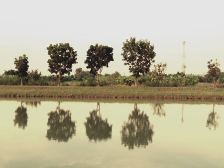 natural sceneryの素材