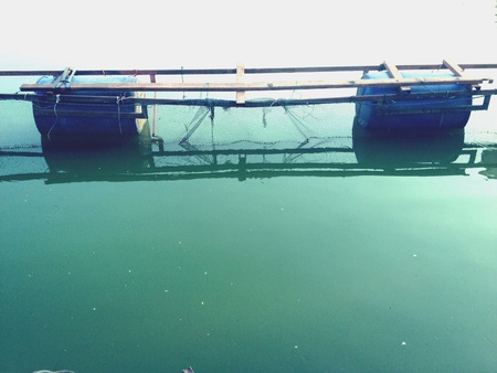 fishing netの素材