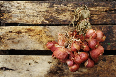 Red Onion on the Old Woodの写真素材
