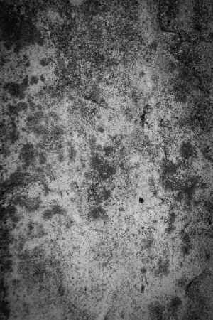 Old concrete vintage background and vignetting in black and white toneの写真素材
