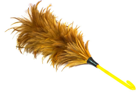 Feather duster isolated on white brackgroundの写真素材