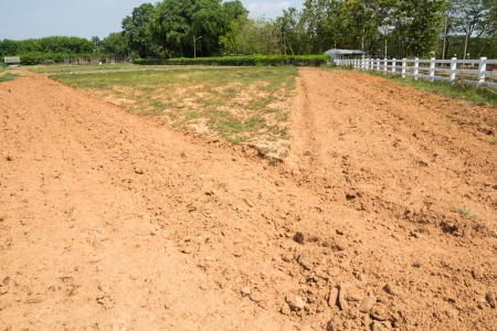 Tillage fields and no tillage fieldsの写真素材