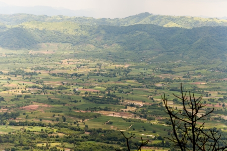 Mountain and forrest in Thailandの写真素材