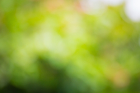 Beautiful green, yellow, red bokeh backgroundの写真素材