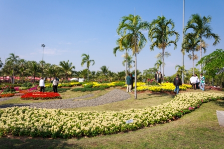 KHON KAEN,THAILAND - DECEMBER 19: View of  people walk to tour around the AMAZING FLOWER FESTIVAL 2013 on December 19,2013 in Thung Sang Lake, Khon Kaenのeditorial素材