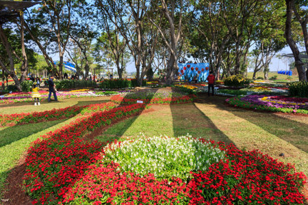 KHON KAEN,THAILAND - DECEMBER 20: View of people walk to tour around the AMAZING FLOWER FESTIVAL 2013 on December 19,2013 in Thung Sang Lake, Khon Kaenのeditorial素材